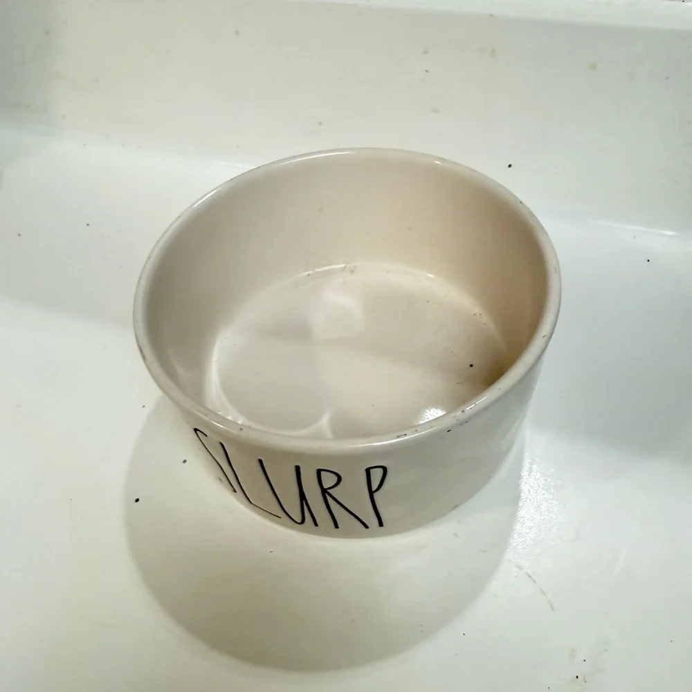 New Rae Dunn Slurp pet cat dog bowl